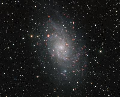 M33