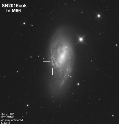 Supernova in M66